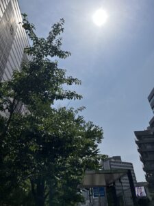 ももです🍑 - 千葉メンズエステ ジャングルクリニック