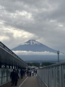 旅行先の正解は、、、 - 千葉メンズエステ ジャングルクリニック