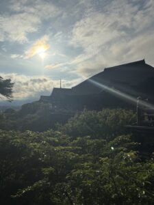 スタートからご予約ありがとう🦁⚡️(京都) - 千葉メンズエステ ジャングルクリニック