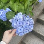 写メ日記 - 千葉メンズエステ ジャングルクリニック